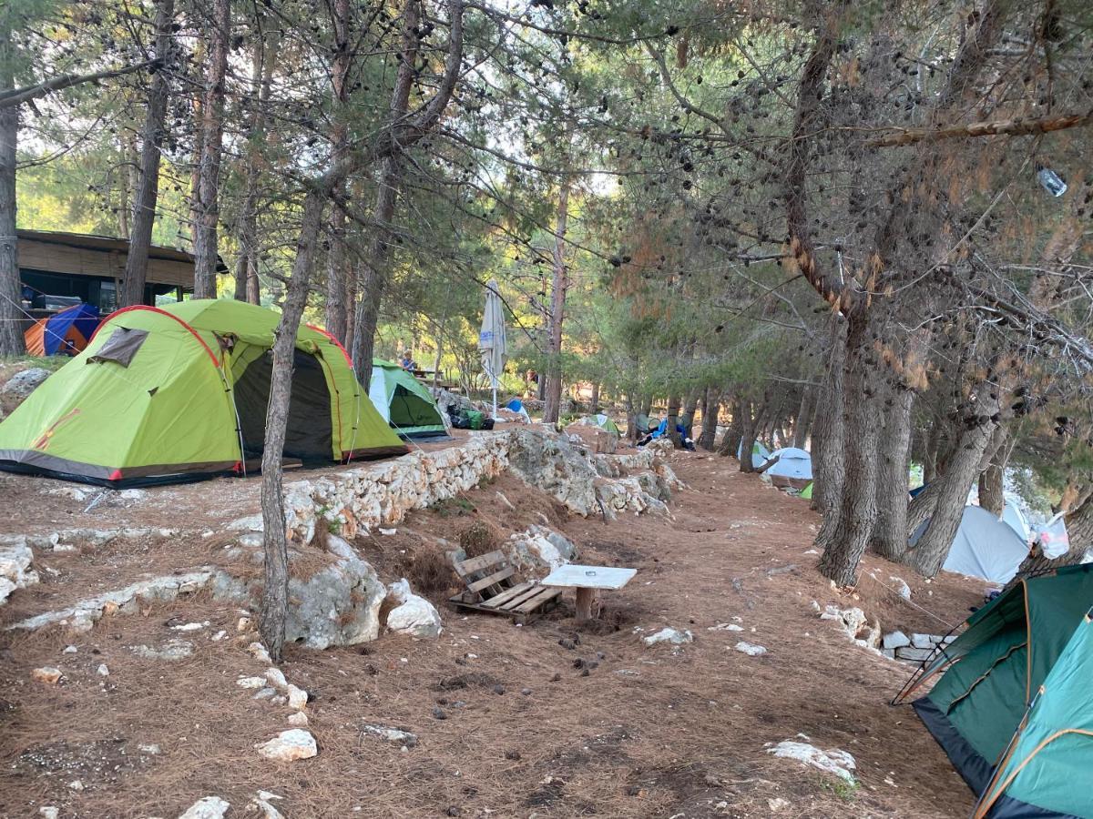 Pine Side Camp Otel Himarë Dış mekan fotoğraf